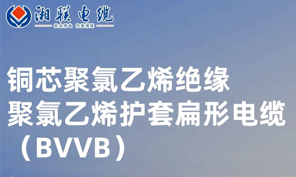 國標認證，品質保障 | 一文解析BVVB（銅芯聚氯乙烯絕緣聚氯乙烯護套扁形電纜）