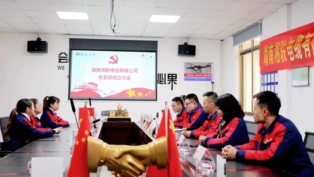 新征程 | 熱烈祝賀湖南湘聯(lián)電纜有限公司黨支部正式成立！