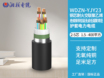 電纜接頭有哪些常見(jiàn)的故障類(lèi)型？
